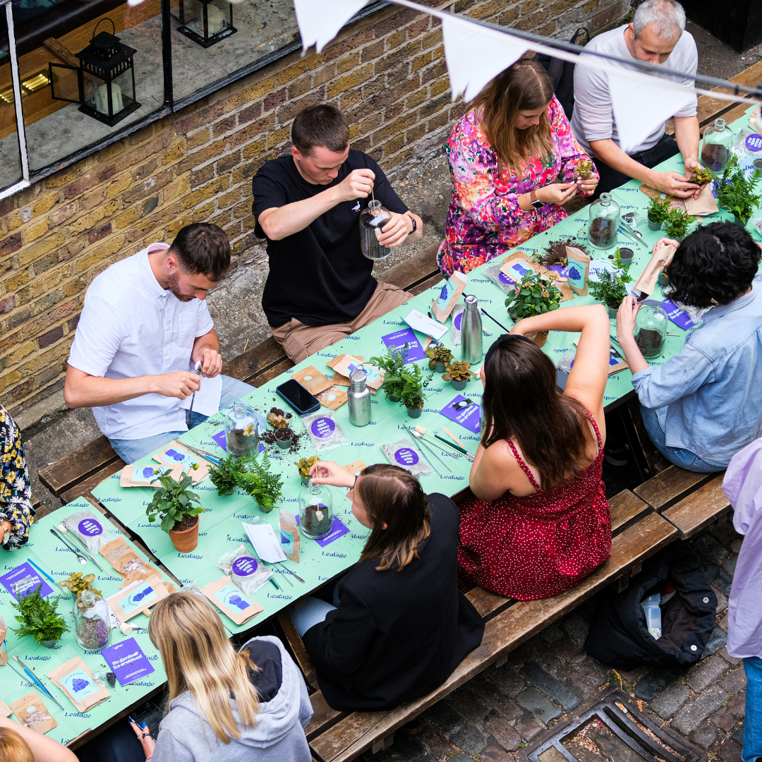 Leafage Terrarium Team Building Workshop