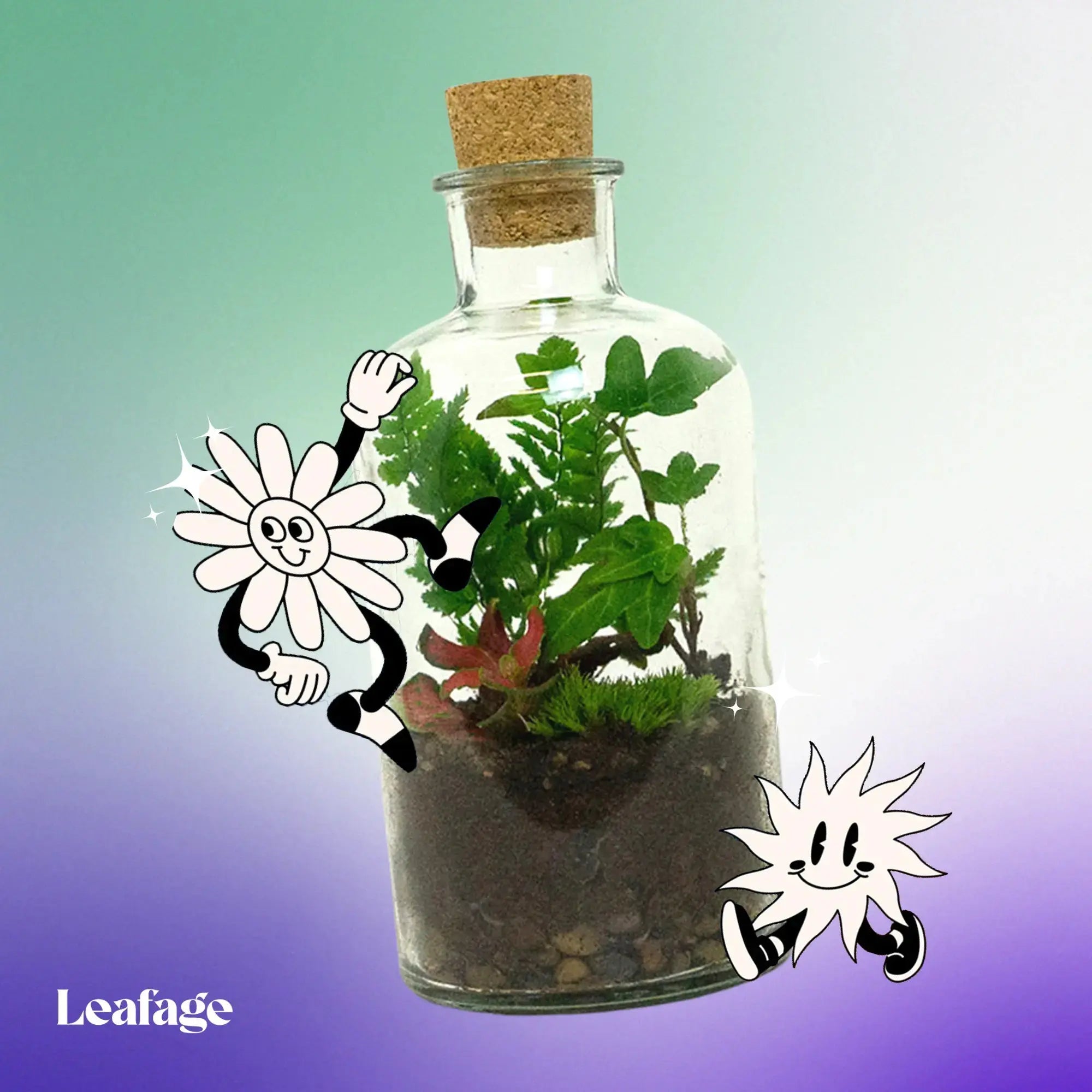 Terrarium Starter Kit for One H20 x D10cm Terrarium DIY Kit