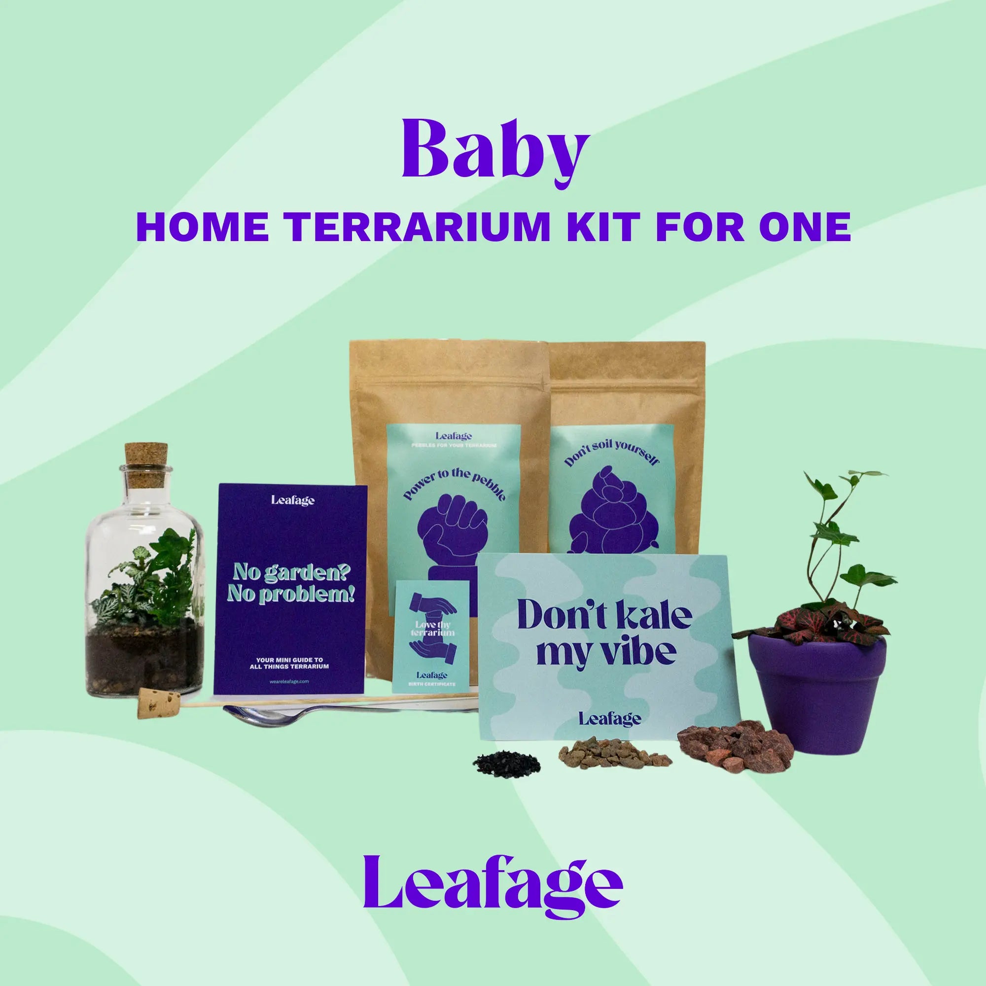 Baby Terrarium Starter Kit Terrarium DIY KIT