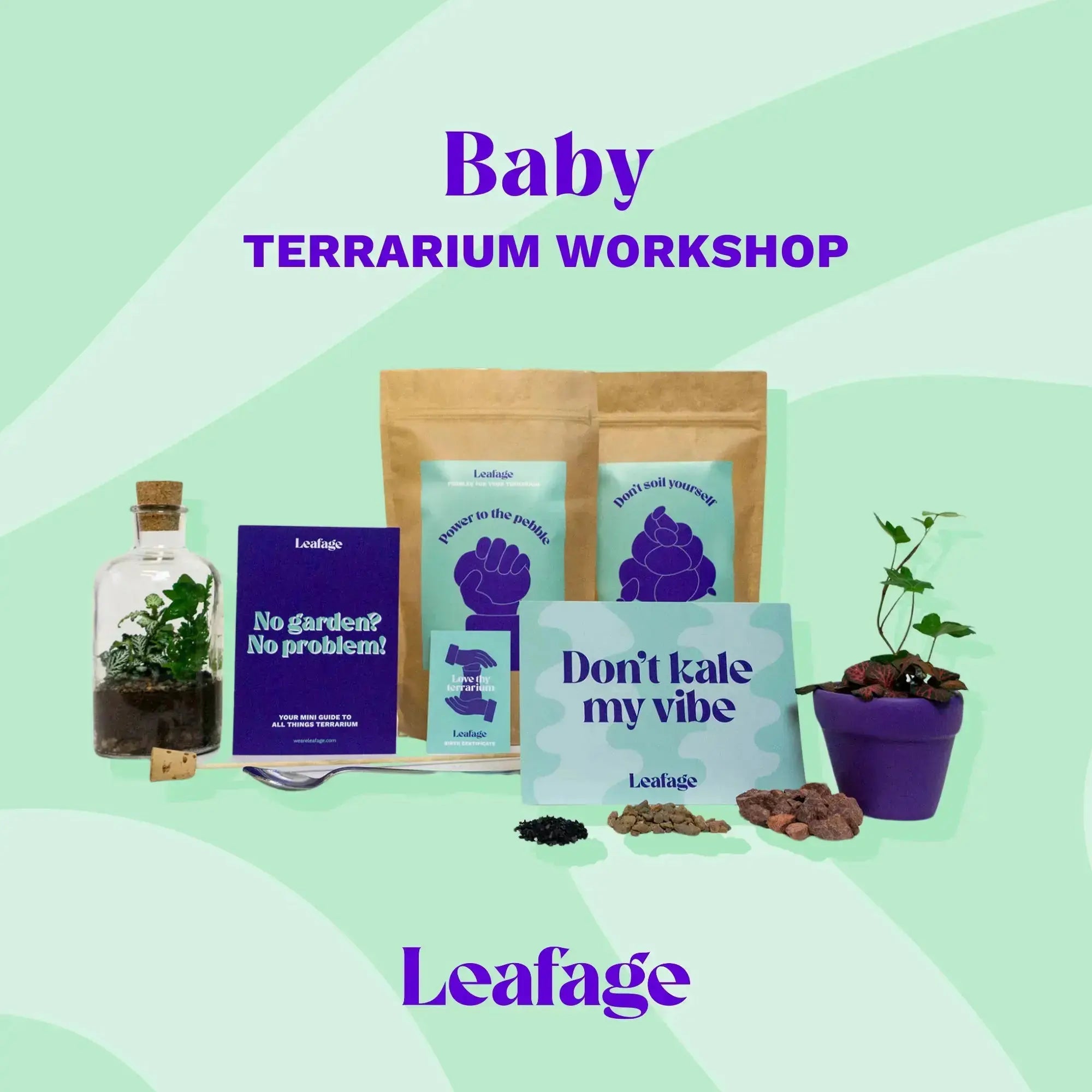 Baby Terrarium Workplace Workshop 16 x 8cm Tropical Terrarium