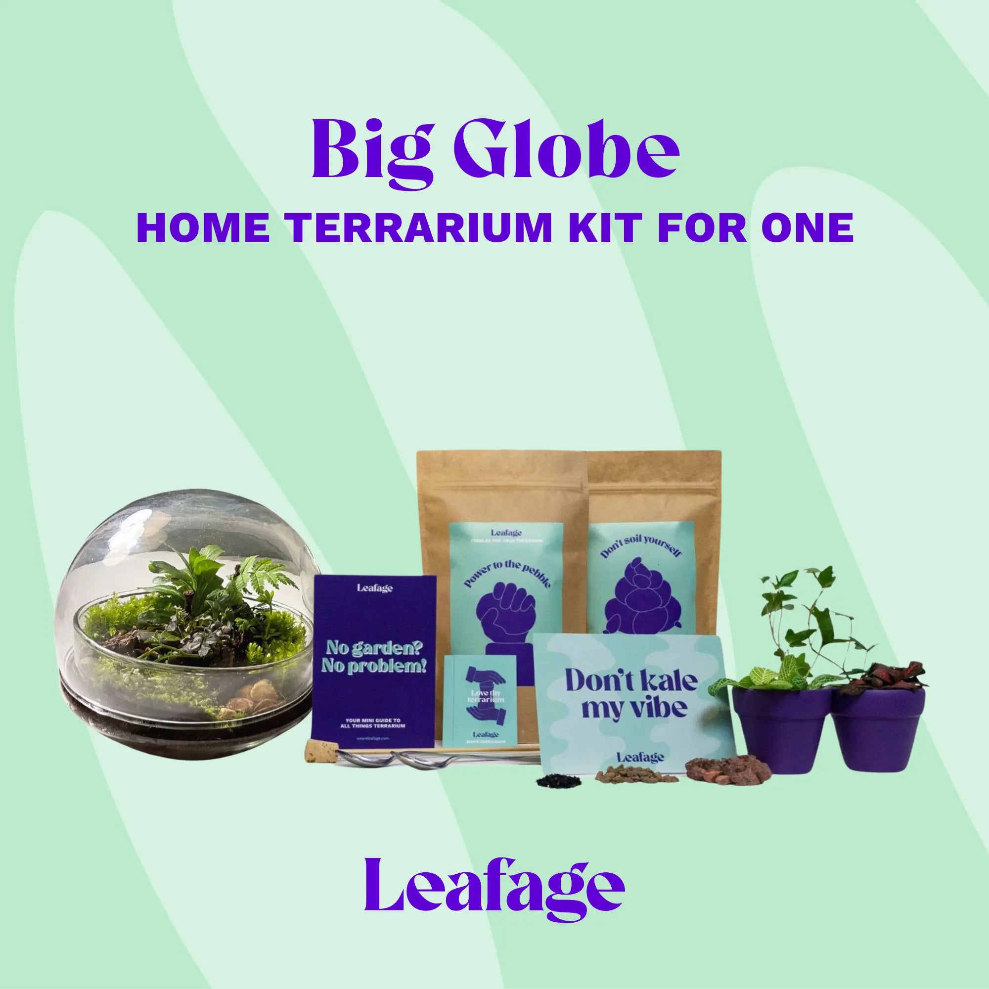 Globe Terrarium Starter Kit Terrarium DIY KIT