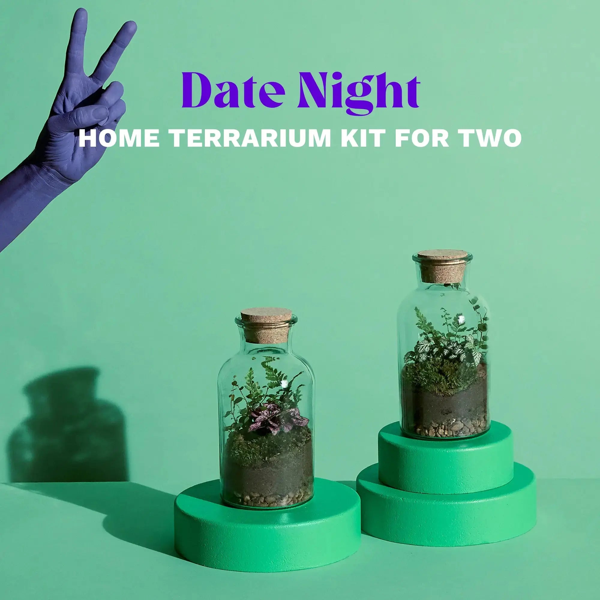 Two glass terrariums with lush greenery and moss, displayed with kit contents on a green pedestal.
