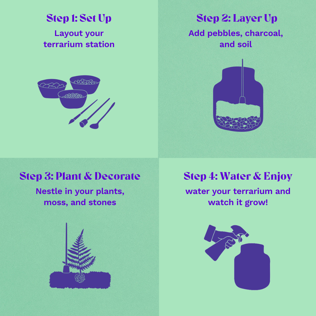 Globe Terrarium Starter Kit
