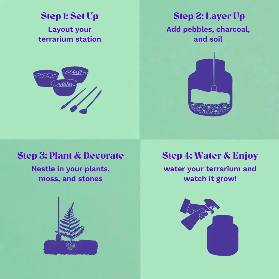 Terrarium Starter Kit for One Terrarium DIY Kit