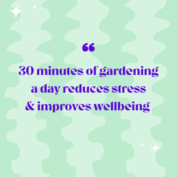 Leafage in-office wellbeing workshop 3