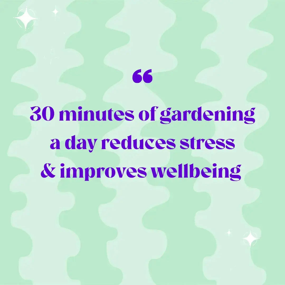 Baby Terrarium Workplace Workshop 16 x 8cm Tropical Terrarium