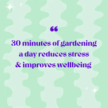 Load image into Gallery viewer, Baby Terrarium Workplace Workshop 16 x 8cm Tropical Terrarium