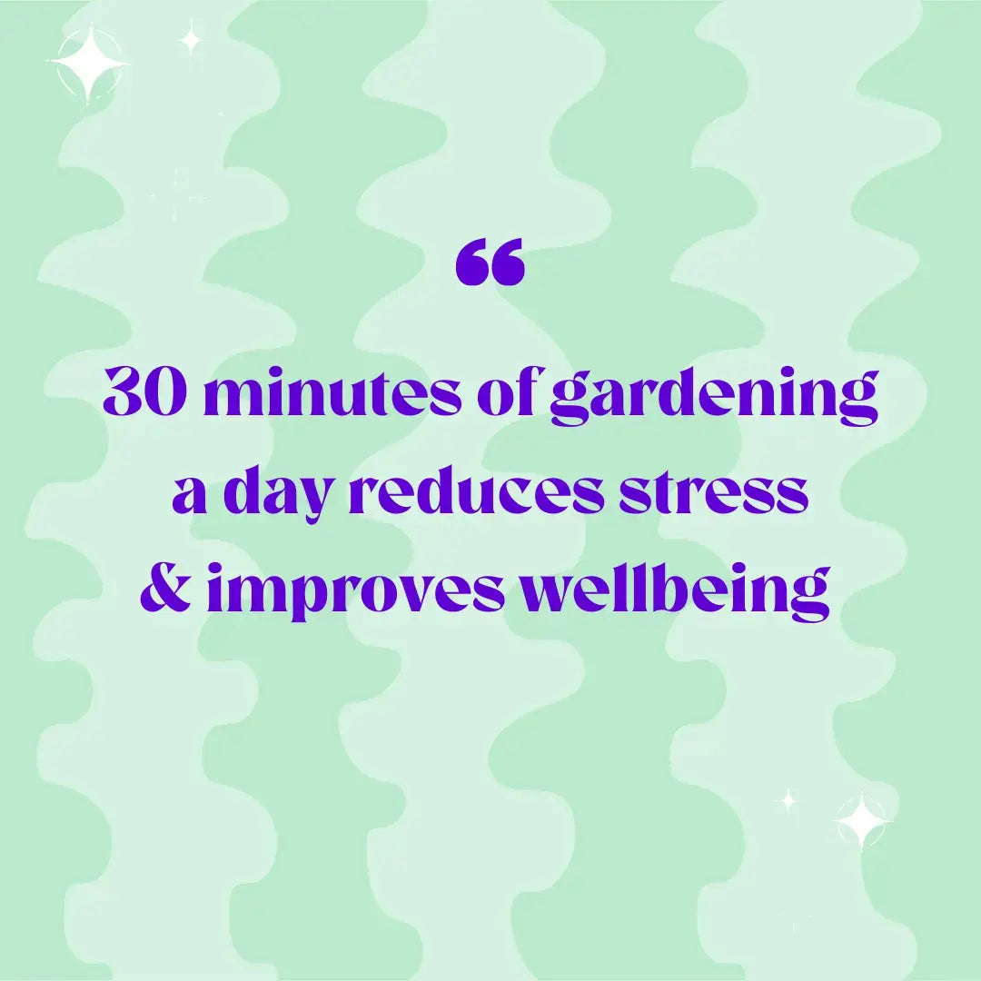 Lil Sista Terrarium Workplace Workshop 20 x 10cm Tropical Terrarium