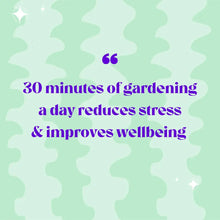 Load image into Gallery viewer, Lil Sista Terrarium Workplace Workshop 20 x 10cm Tropical Terrarium