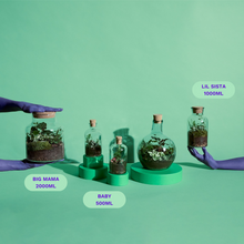 Load image into Gallery viewer, Lil Sista Terrarium Workplace Workshop
