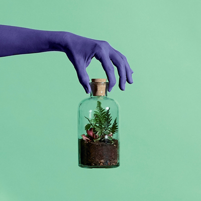 4. Take home a terrarium