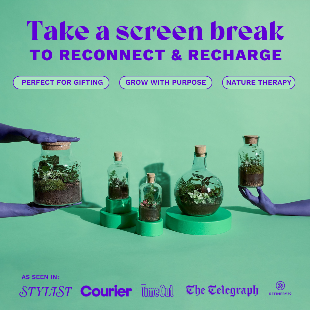 Date Night Home Terrarium Kit for Two