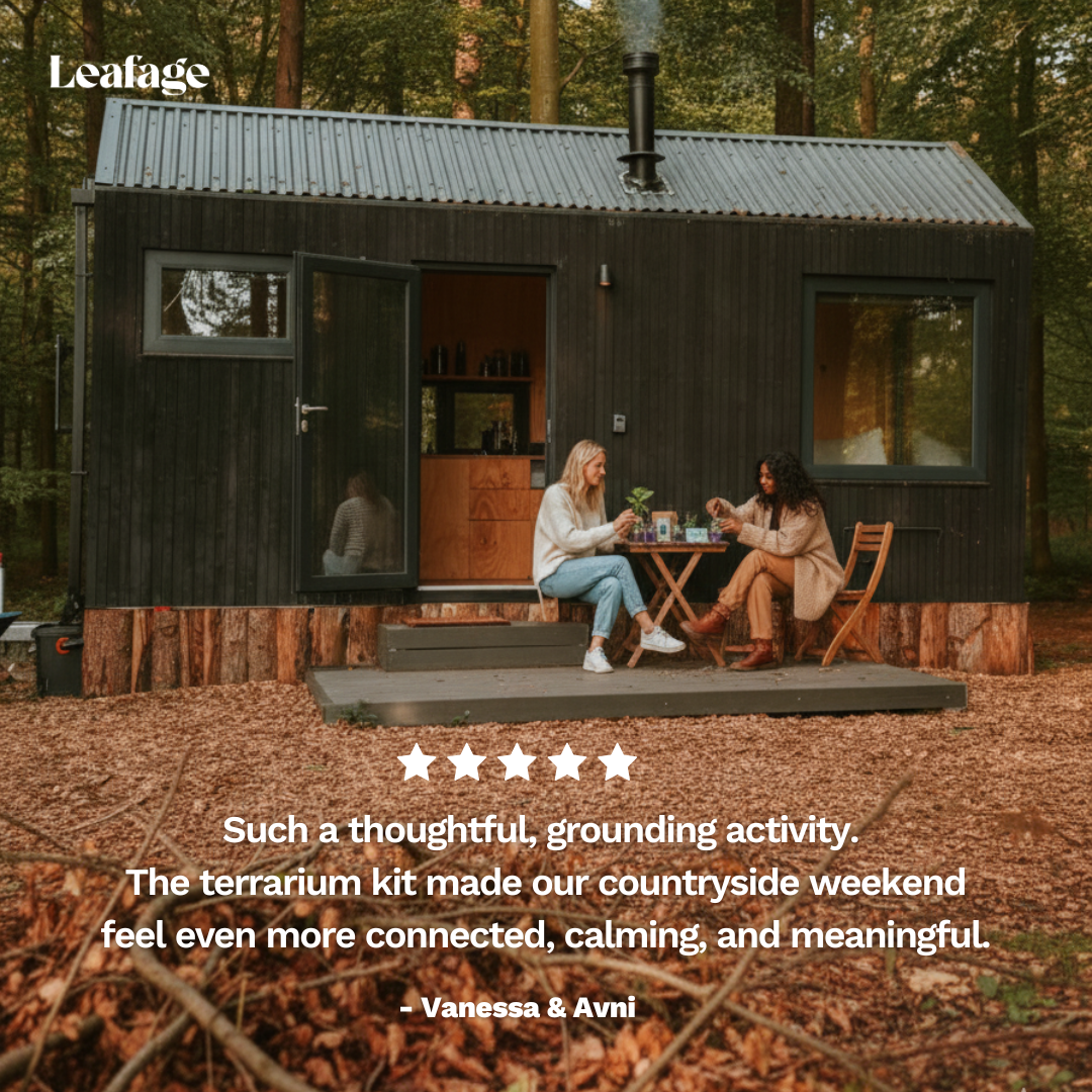 Date Night Home Terrarium Kit for Two