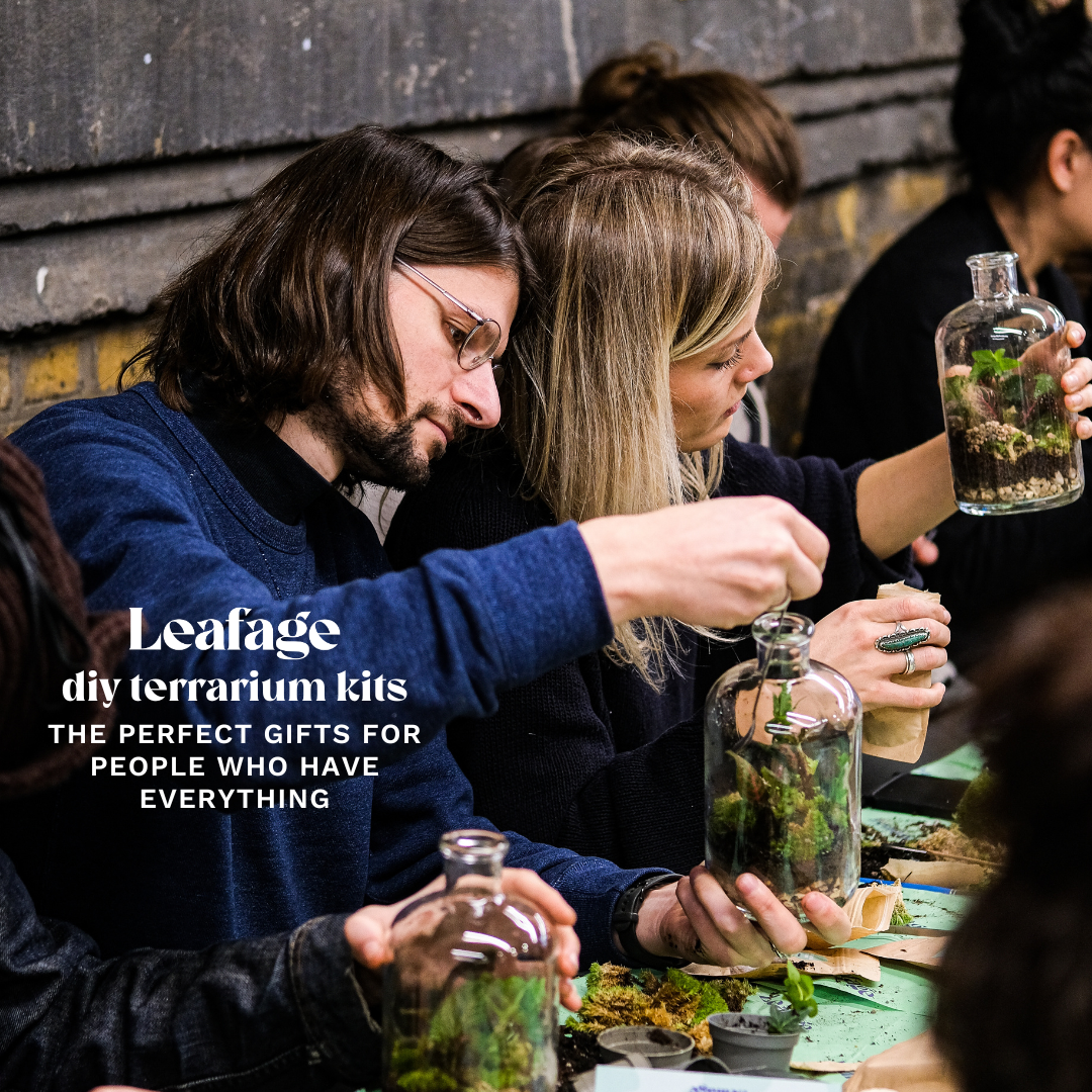 Date Night Home Terrarium Kit for Two