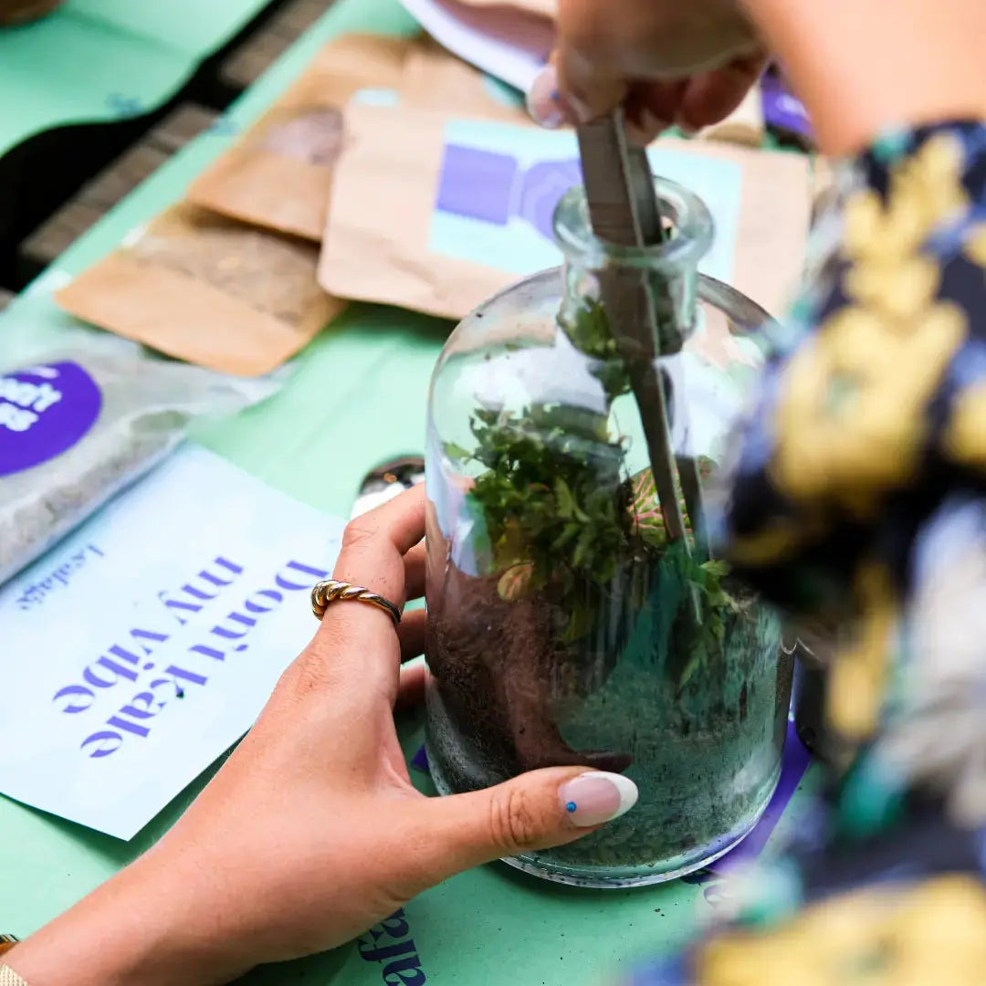 Lil Sista Terrarium Workplace Workshop 20 x 10cm Tropical Terrarium