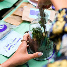 Load image into Gallery viewer, Lil Sista Terrarium Workplace Workshop 20 x 10cm Tropical Terrarium