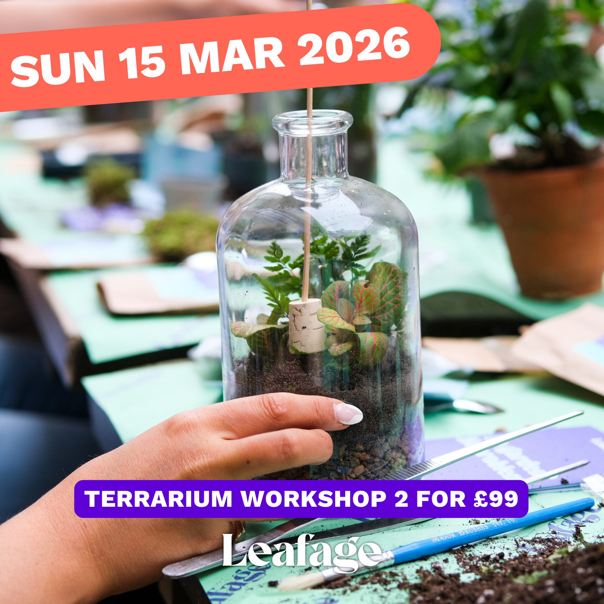 Terrarium Workshop, SUN 15 MAR 2026, 1pm - 2.30pm