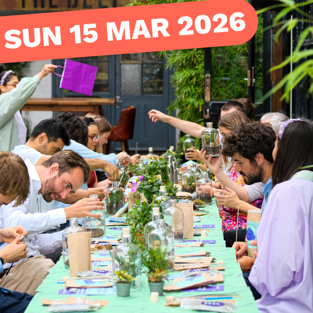 Terrarium Workshop, SUN 15 MAR 2026, 1pm - 2.30pm