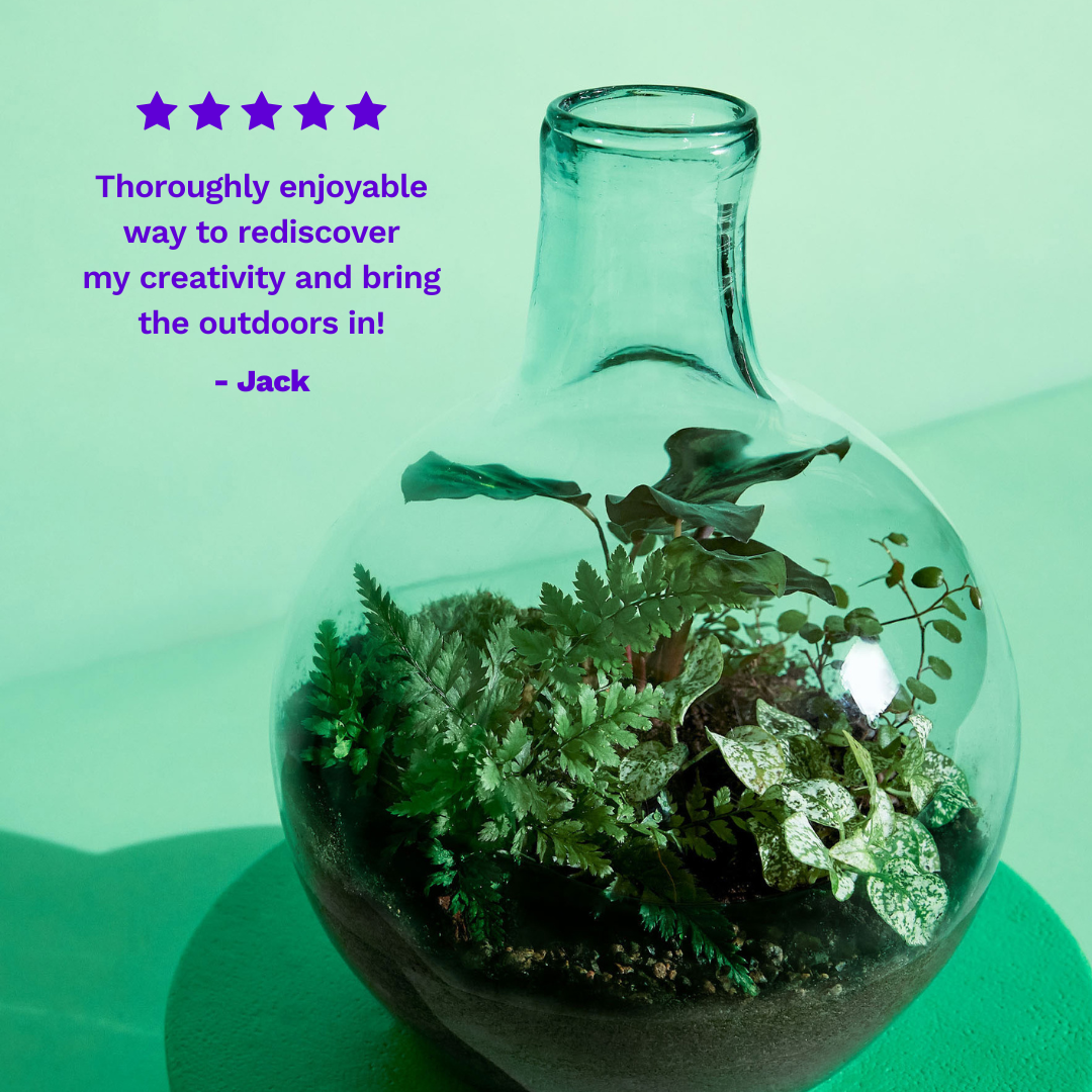 Globe Terrarium Starter Kit