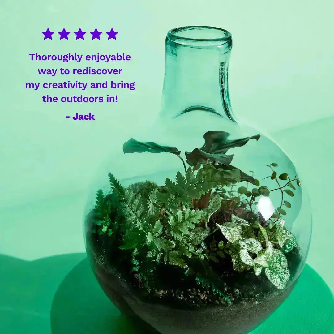Reviews from customers about Leafage Terrarium Starter Kit for One Terrarium DIY Kit