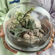 Load image into Gallery viewer, Globe Terrarium Workplace Workshop Globe Tropical & Desert Terrarium