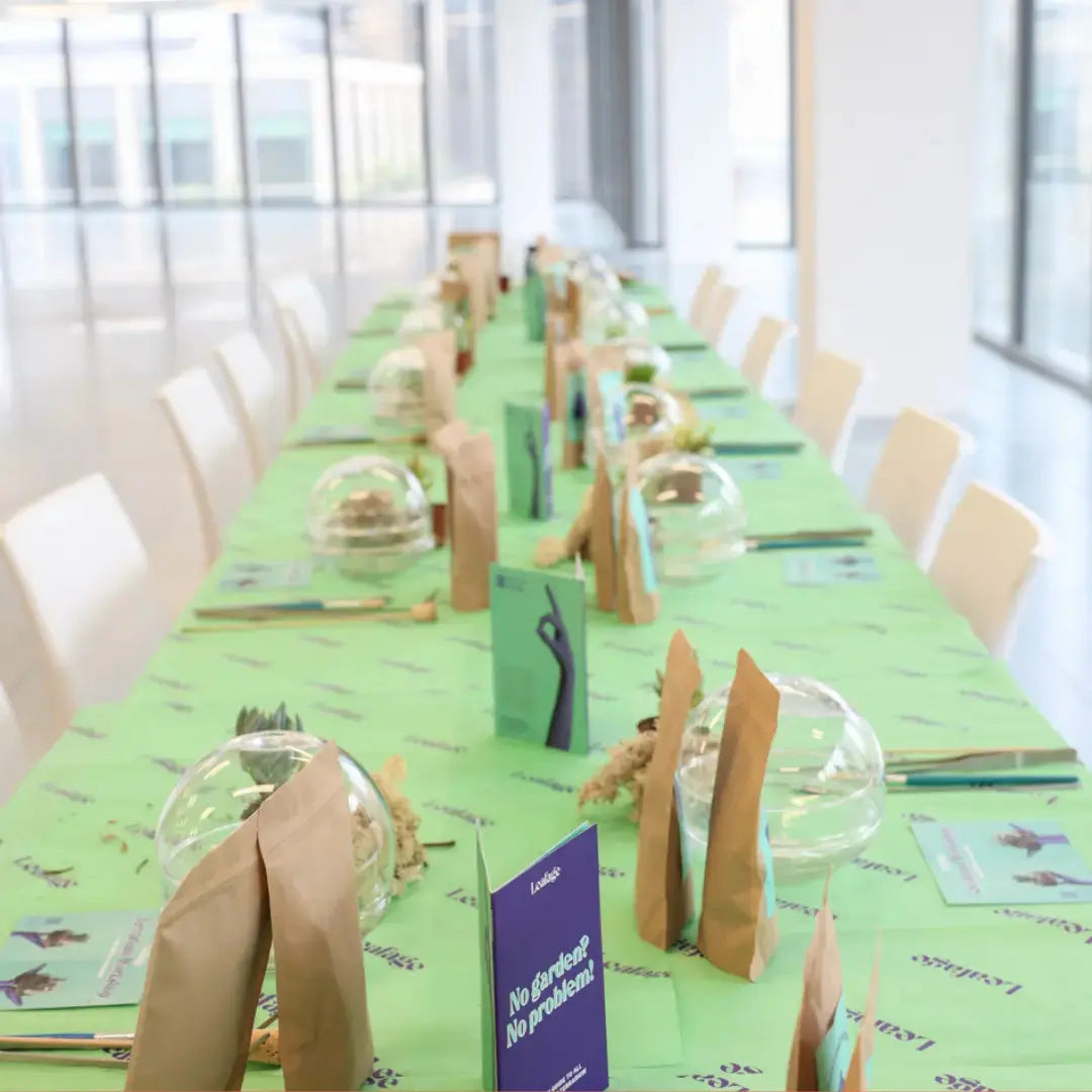 Globe Terrarium Workplace Workshop Globe Tropical & Desert Terrarium