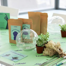 Load image into Gallery viewer, Globe Terrarium Workplace Workshop Globe Tropical & Desert Terrarium