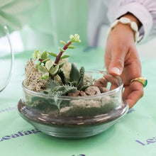 Load image into Gallery viewer, Globe Terrarium Workplace Workshop Globe Tropical & Desert Terrarium