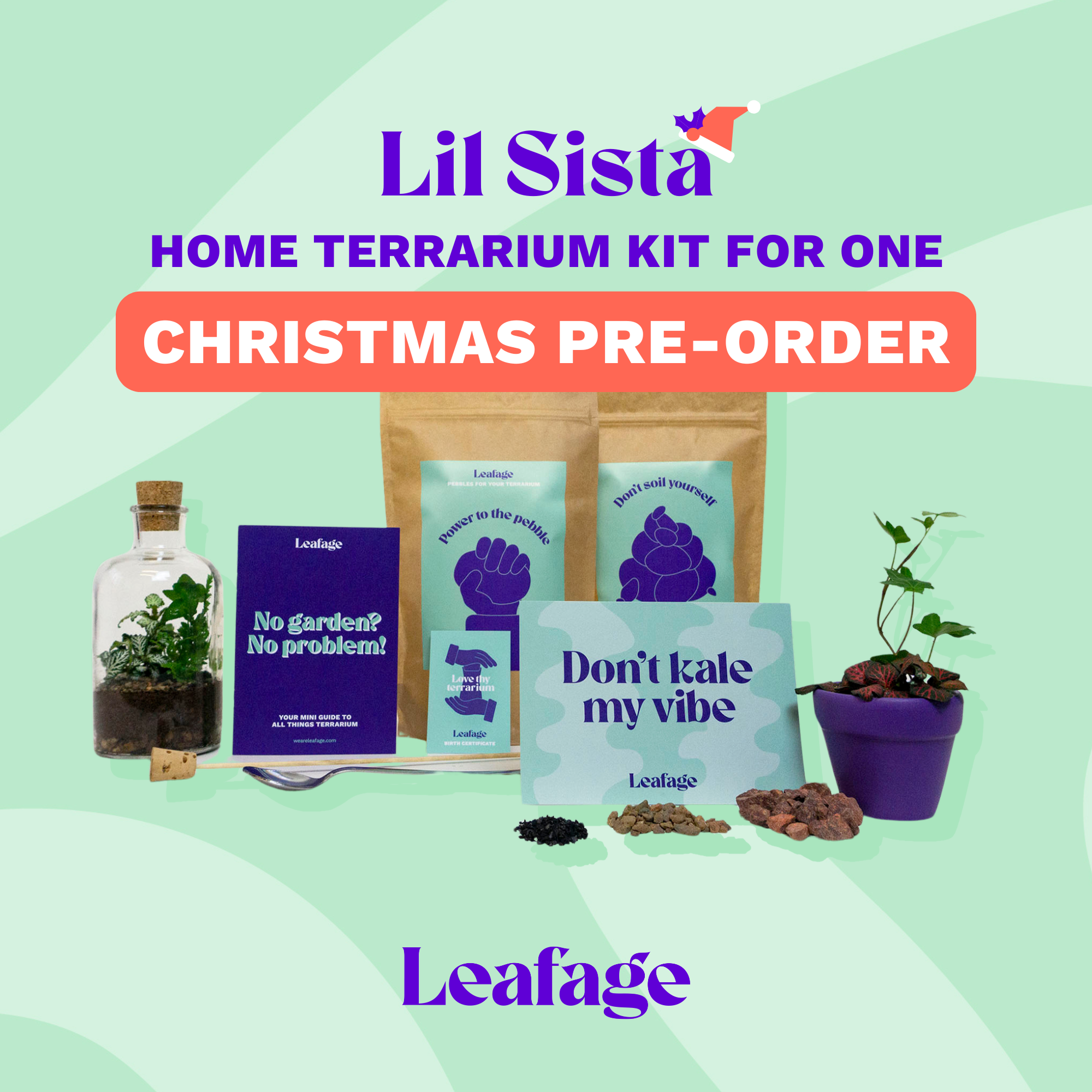 Terrarium Starter Kit for One