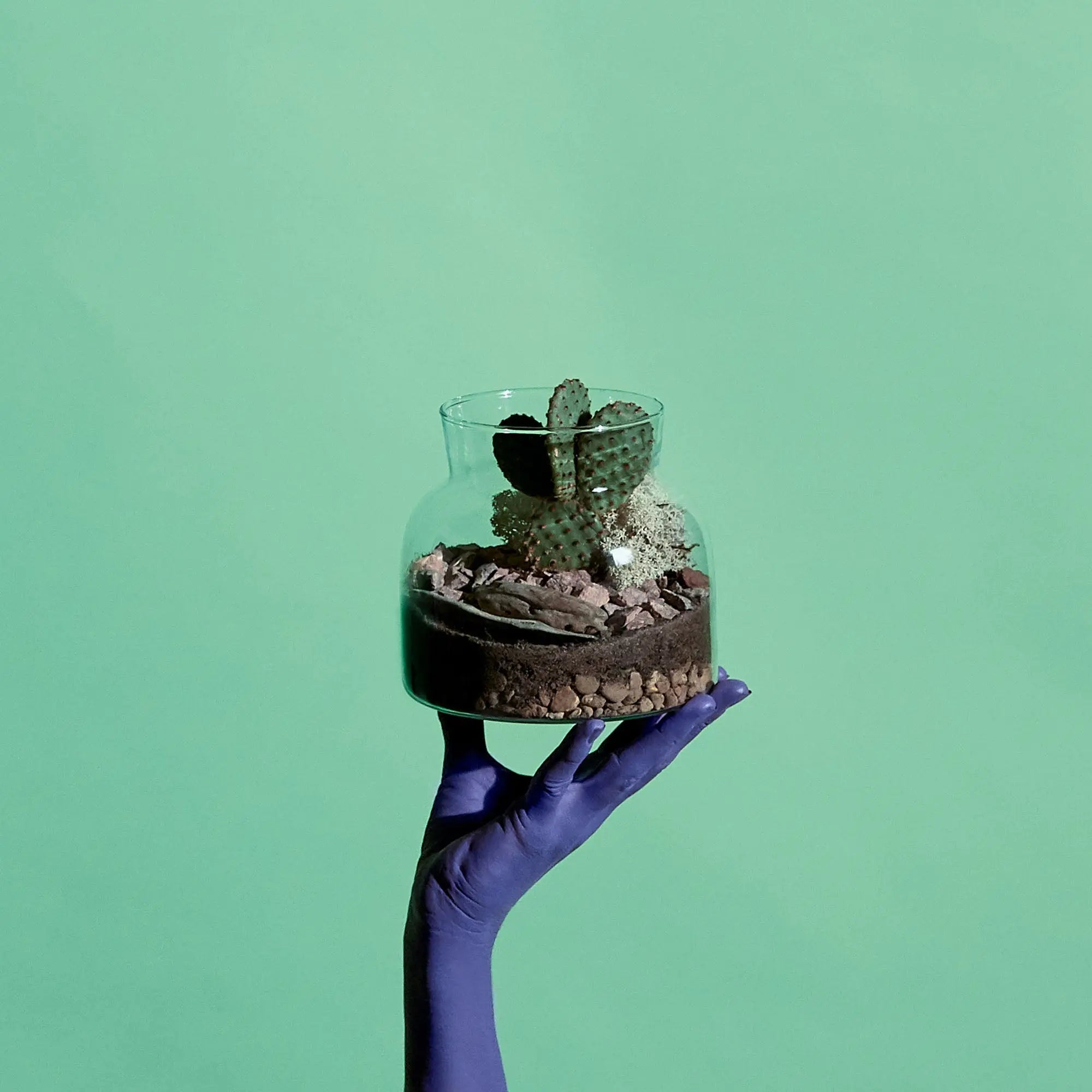 Lil Bro Terrarium Workplace Workshop 15cm Desert Terrarium