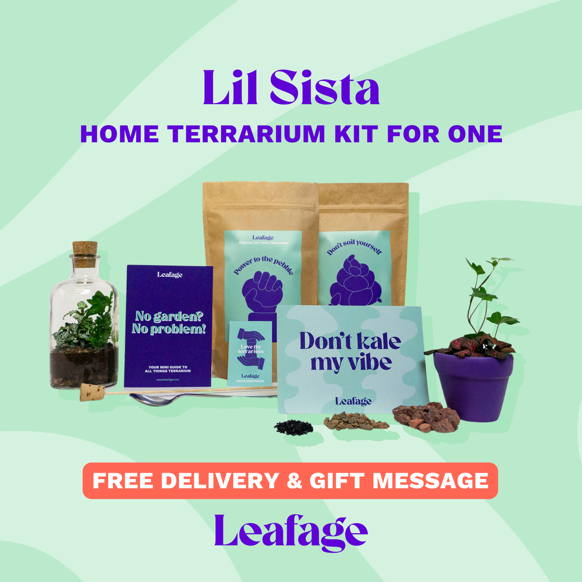 Terrarium Starter Kit for One