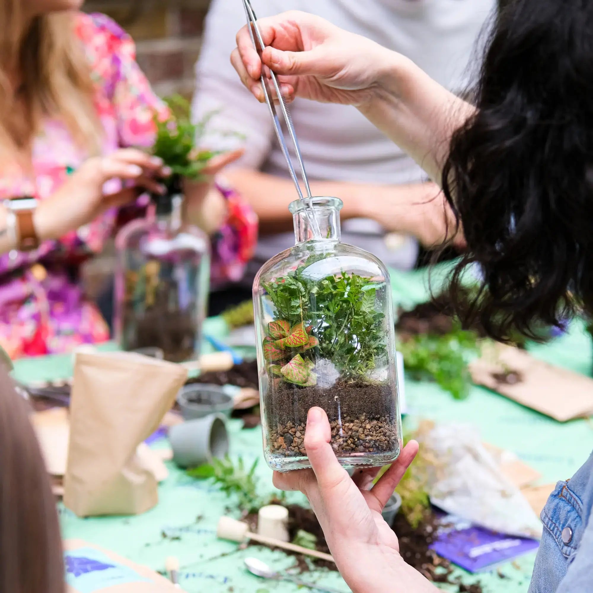 Lil Sista Terrarium Workplace Workshop 20 x 10cm Tropical Terrarium