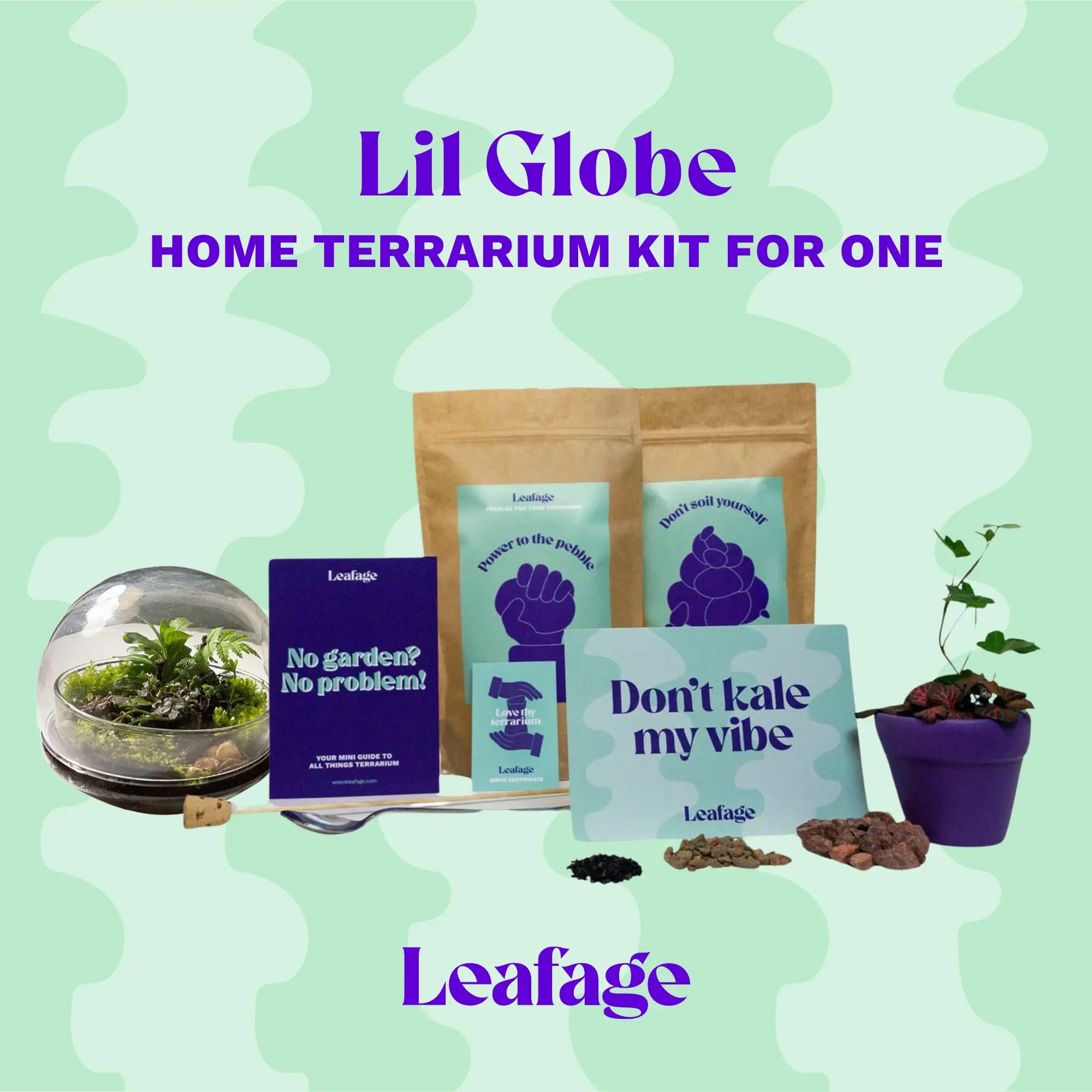 Globe Terrarium Starter Kit Terrarium DIY KIT