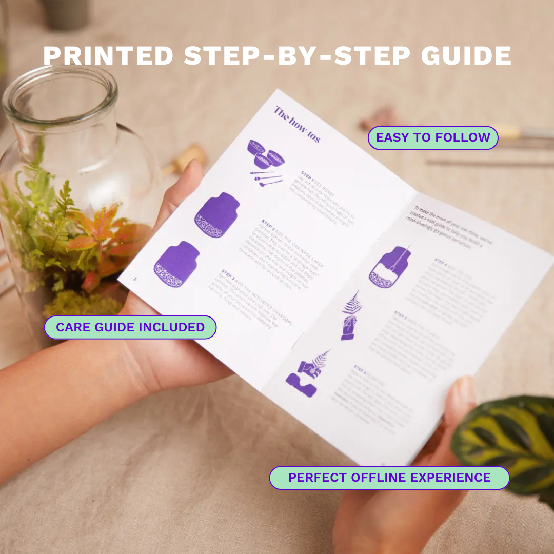 Globe Terrarium Starter Kit