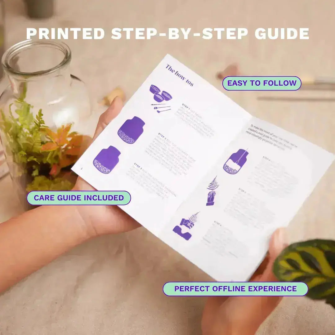 Terrarium Starter Kit for One Terrarium DIY Kit