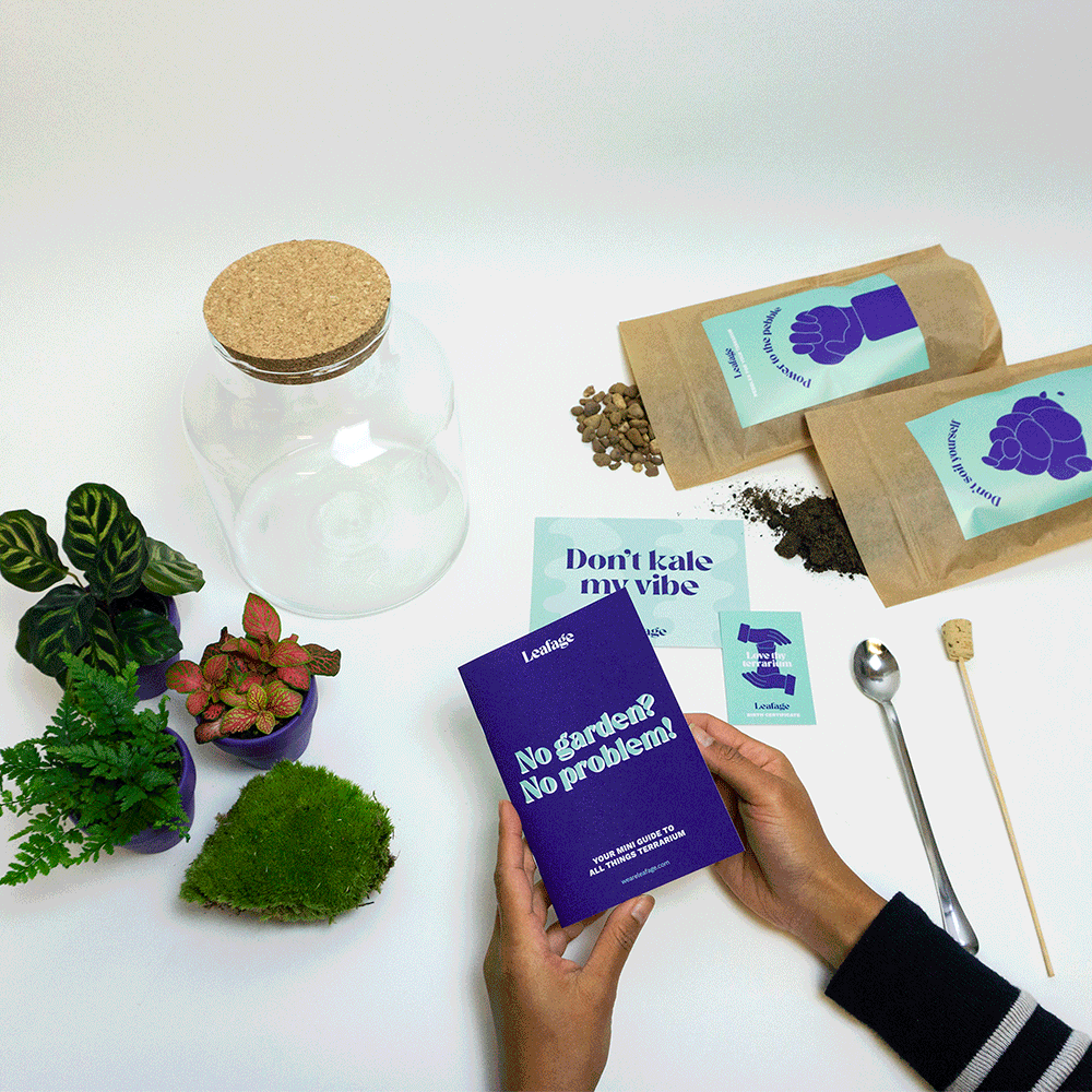Terrarium Starter Kit for One Terrarium DIY Kit