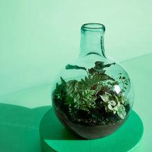 Load image into Gallery viewer, Curved Terrarium Tweezers - 27 cm Add on - Long Tweezers