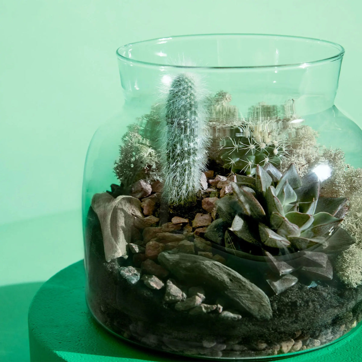 Terrarium Tweezers 14 cm Leafage