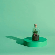 Load image into Gallery viewer, Curved Terrarium Tweezers - 27 cm Add on - Long Tweezers