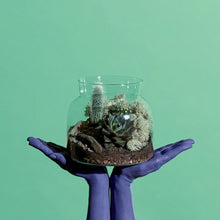 Load image into Gallery viewer, The Refills (Soil + Pebbles 250ML) Pebbles + Soil