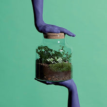 Load image into Gallery viewer, The Refills (Soil + Pebbles 250ML) Pebbles + Soil