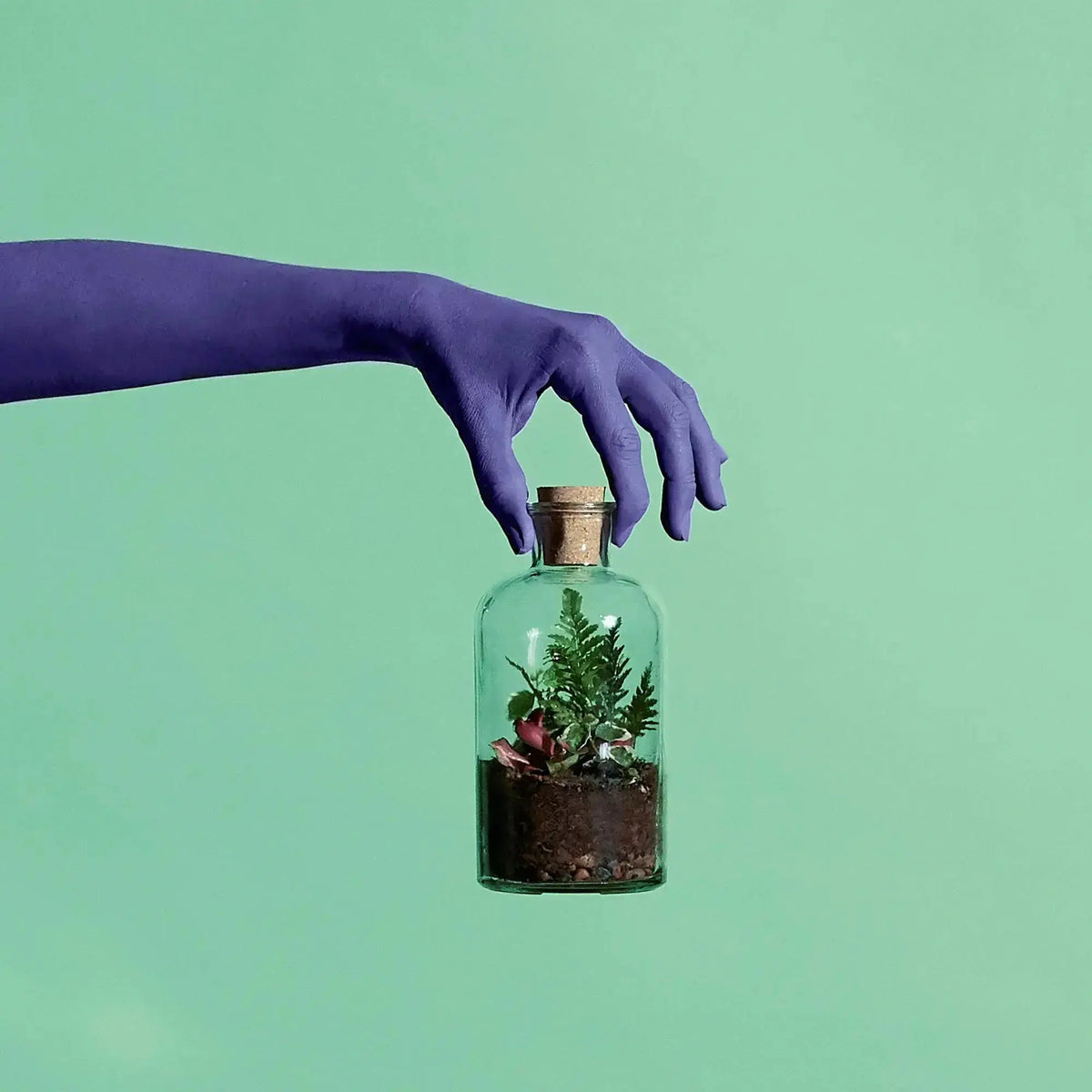 Terrarium Starter Kit for One H20 x D10cm Terrarium DIY Kit