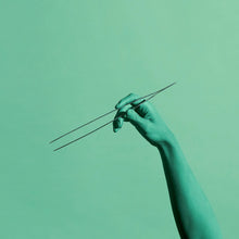 Load image into Gallery viewer, Straight Terrarium Tweezers - 27 cm Add on - Long Tweezers