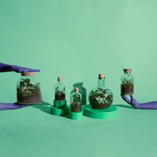 Load image into Gallery viewer, Curved Terrarium Tweezers - 27 cm Add on - Long Tweezers