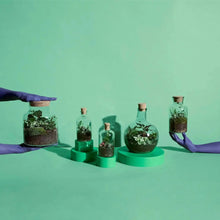 Load image into Gallery viewer, The Refills (Soil + Pebbles 250ML) Pebbles + Soil