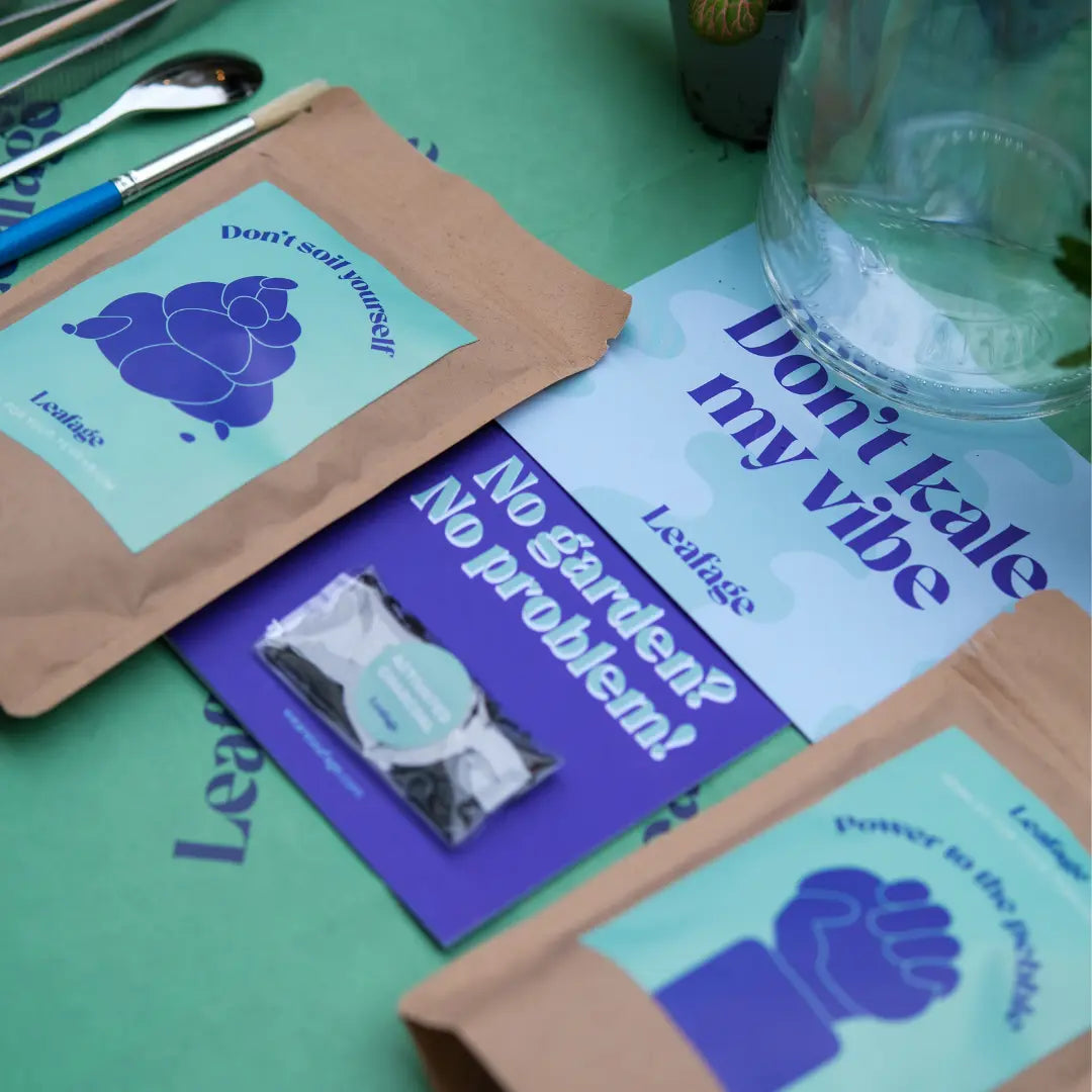 Terrarium Starter Kit for One H20 x D10cm Terrarium DIY Kit