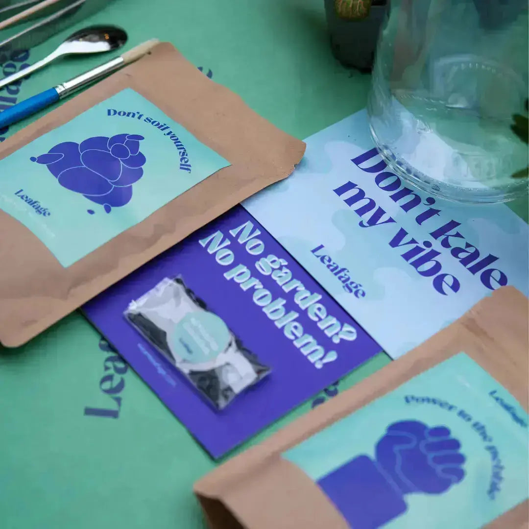 Terrarium Starter Kit for One H20 x D10cm Terrarium DIY Kit