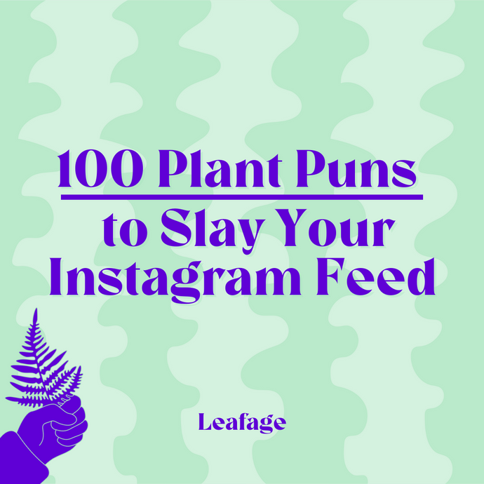 100 Plant Puns to Slay Your Instagram Feed