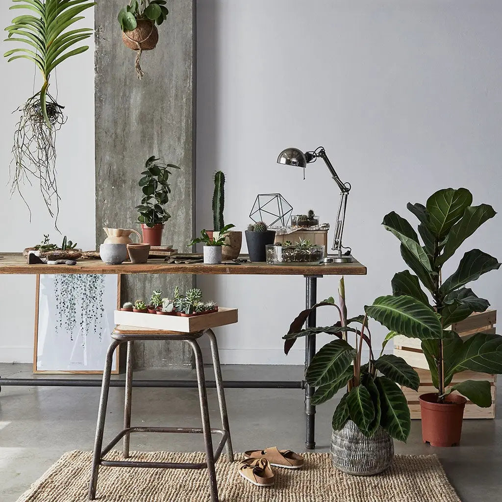 5-Simple-Ways-to-Create-a-Productive-Creative-Home-Office Leafage