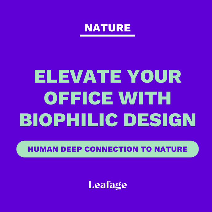 Elevate Your Office Vibes with Biophilic Design